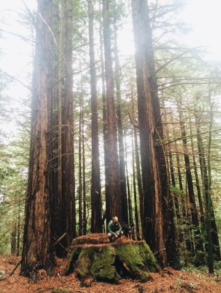 Matt and Snickers Redwood