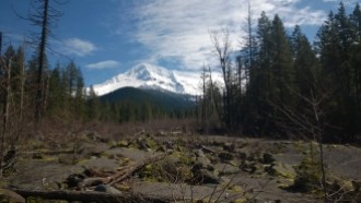 Mount Hood- good luck getting a better shot, this was amazing!