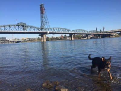 Willamette River - Portland, OR